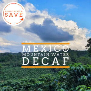 Badger and Dodo Mexica Decaf