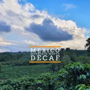 Badger and Dodo Coffee Roasters: A scenic view of lush green coffee plantations unfolds under a cloudy blue sky, perfectly capturing the essence of Mexico Quetzal–MWP Decaf.