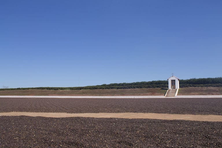 Badger and Dodo Coffee Roasters: A solitary small white chapel with closed doors sits on a platform in the distance. It is bordered by a staircase and surrounded by a flat, barren field under a clear blue sky, reminiscent of post-Brexit UK landscapes. A line of green shrubs is visible on the horizon.
