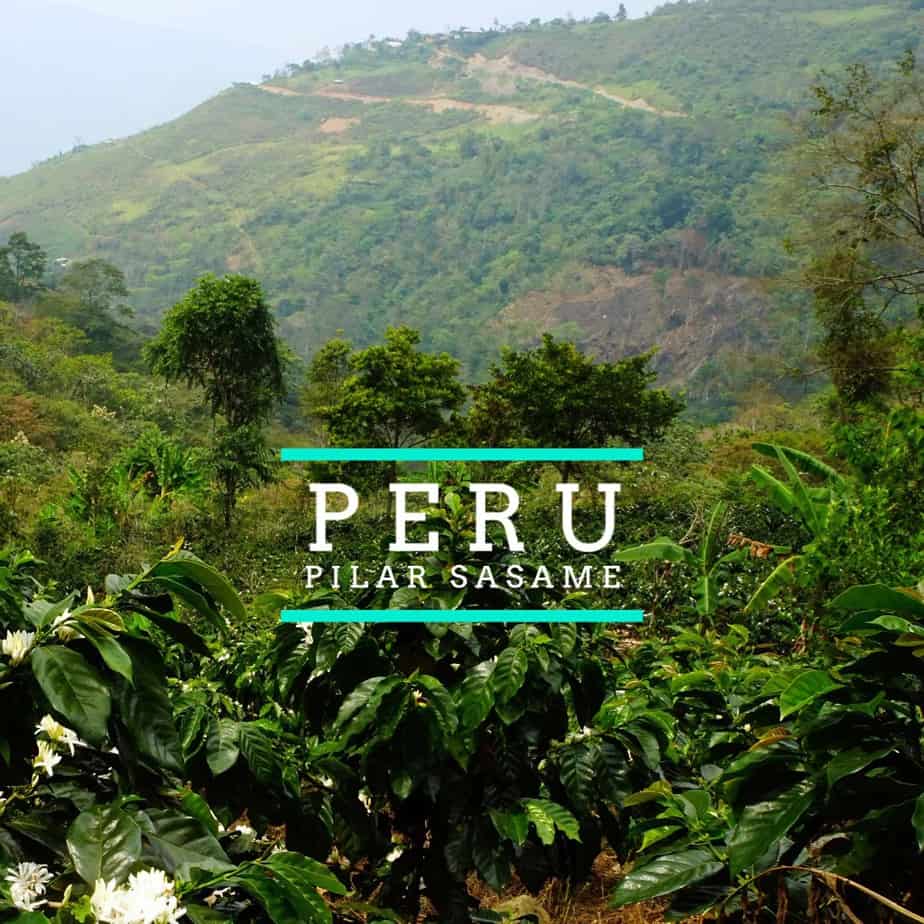 New Single Origin Release - Peru: Pilar Sasame Pilar Coffee