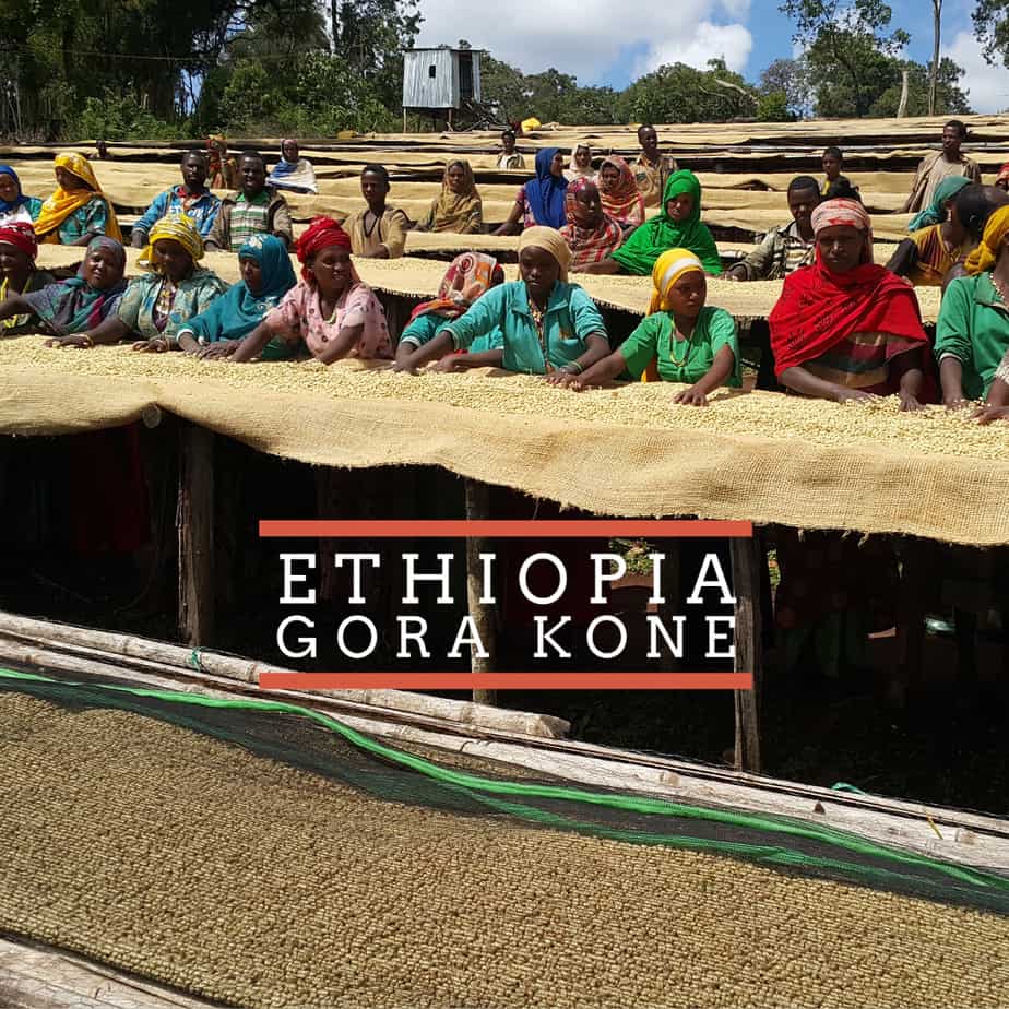 NEW SINGLE ORIGIN RELEASE – ETHIOPIA: GORA KONE Gora Kone 1 1 Coffee