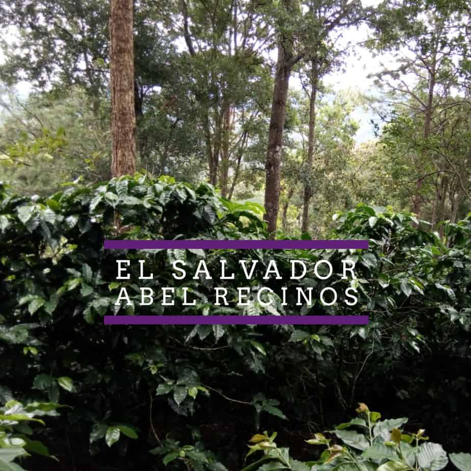 NEW SINGLE ORIGIN RELEASE – EL SALVADOR: ABEL RECINOS Abel Recinos Coffee