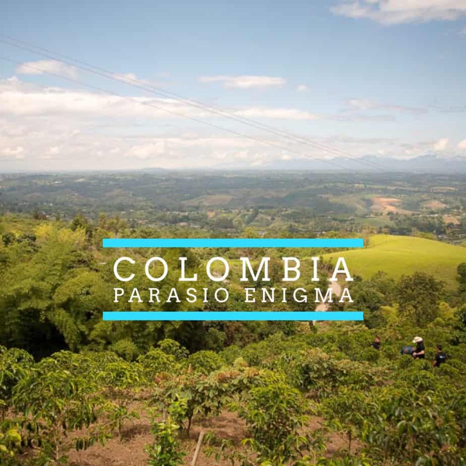 New Single Origin Release - Colombia: Paraiso Enigma IMG 8112 Coffee