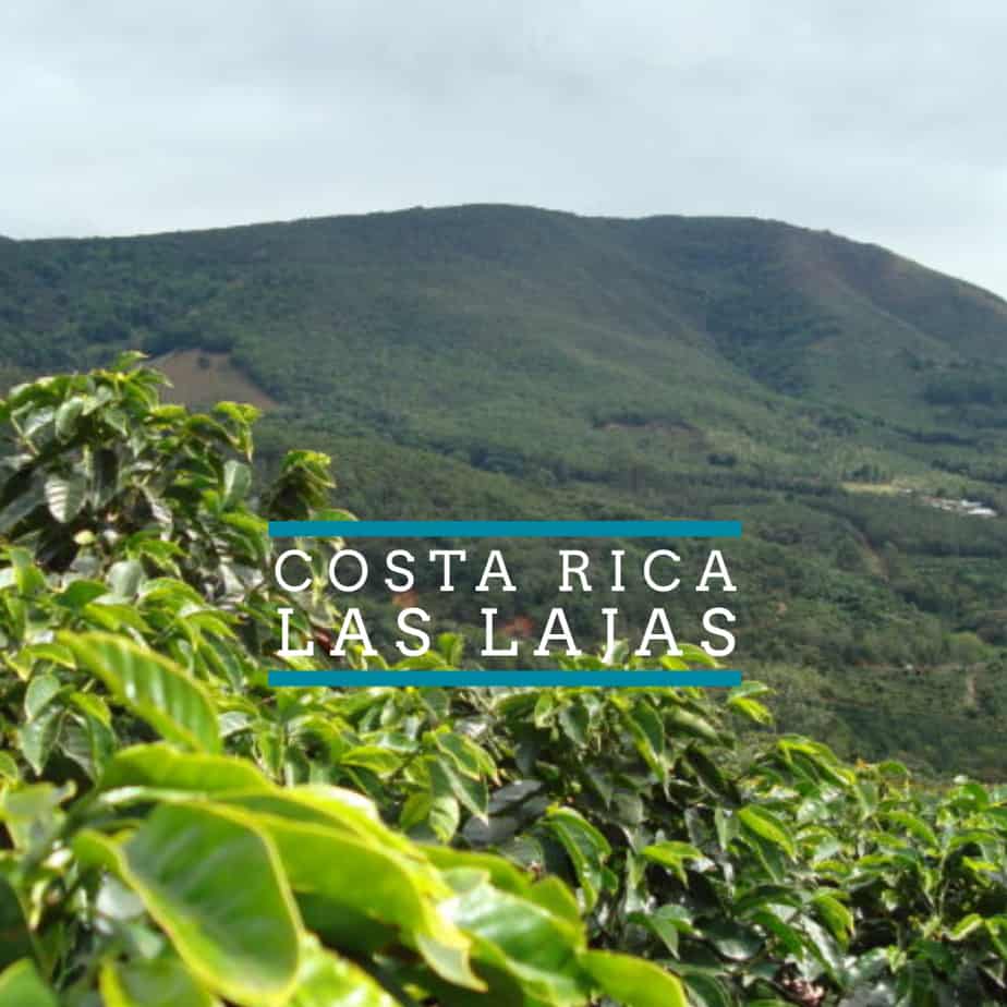 NEW SINGLE ORIGIN RELEASE - COSTA RICA: LAS LAJAS Las Lajas Coffee