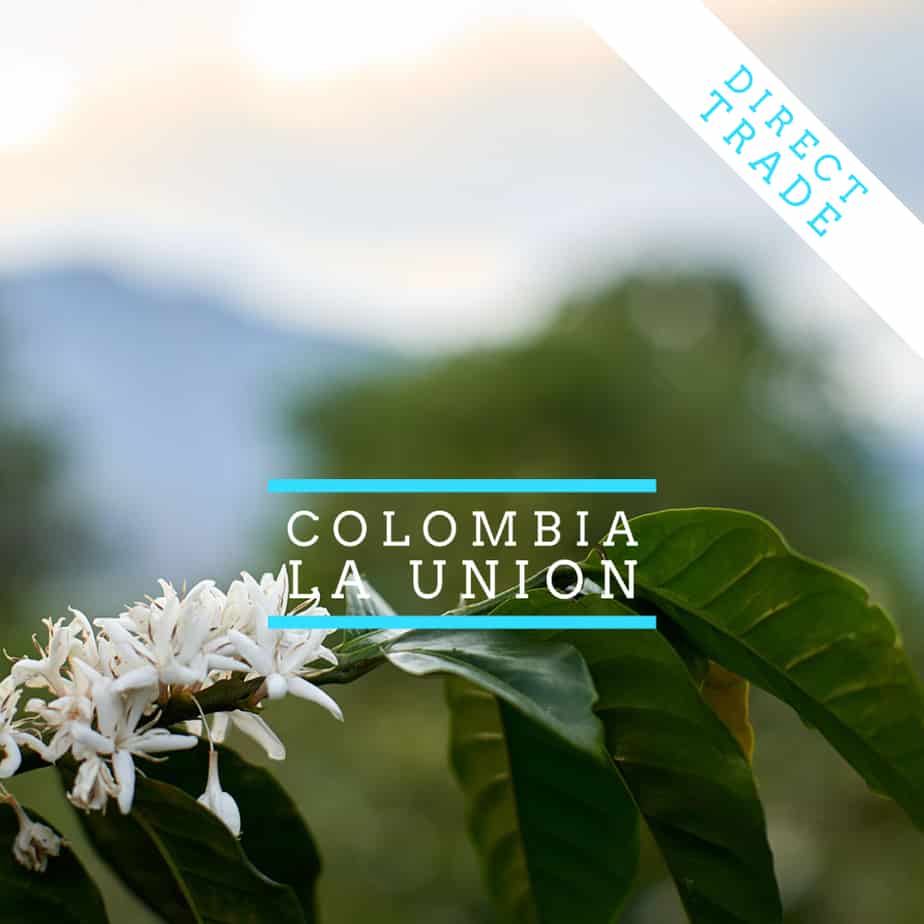 NEW SINGLE ORIGIN RELEASE: COLOMBIA – LA UNION La Union 1 Coffee