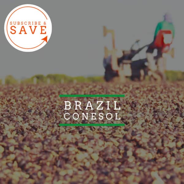 Brazil: Conesol - Badger & Dodo