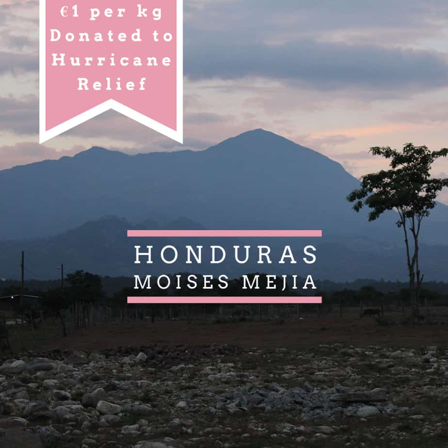 NEW SINGLE ORIGIN RELEASE: HONDURAS MOISES MEJIA WhatsApp Image 2021 01 27 at 22.03.52 Coffee