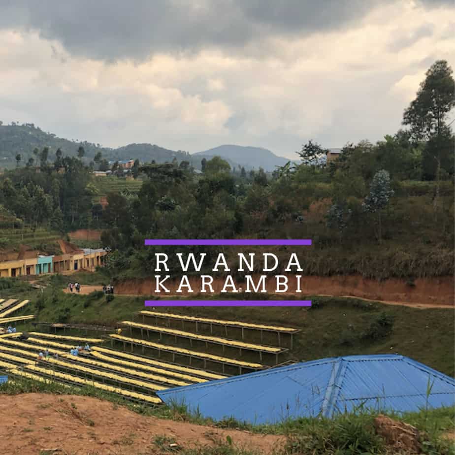 Rwanda - Karambi - Badger & Dodo
