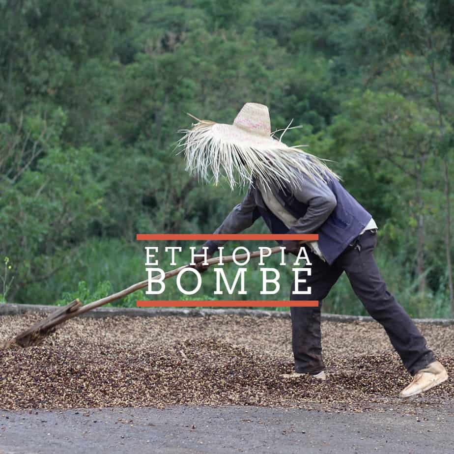 Ethiopia: Bombe - Badger & Dodo