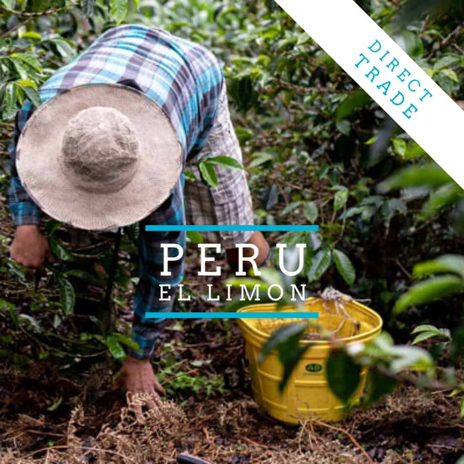 Peru - El Limon Badger & Dodo
