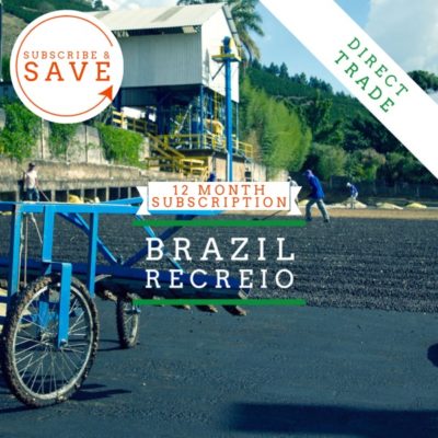 Brazil - 12 Month Subscription - Badger & Dodo