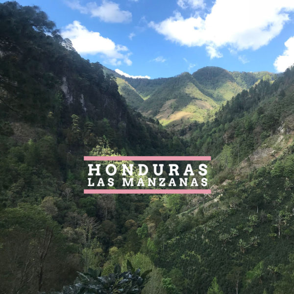 Honduras Las Lamazanas - Badger & Dodo
