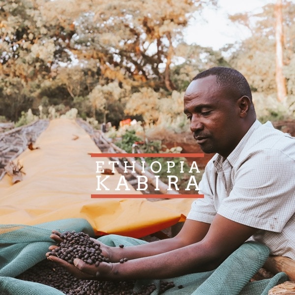 Ethiopia Kabira - Badger & Dodo
