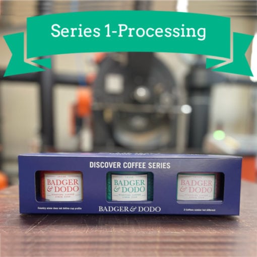 Discover Coffee Series 1 Processing - Badger & Dodo