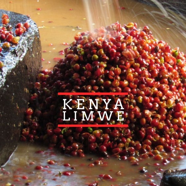 NEW SINGLE ORIGIN RELEASE: KENYA LIMWE Limwe 1woocommerce Coffee
