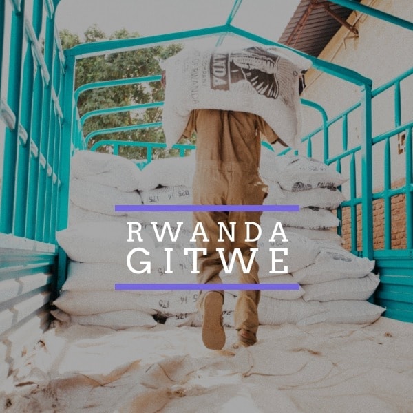 NEW SINGLE ORIGIN RELEASE: RWANDA: GITWE Gitwe WC 1 Coffee