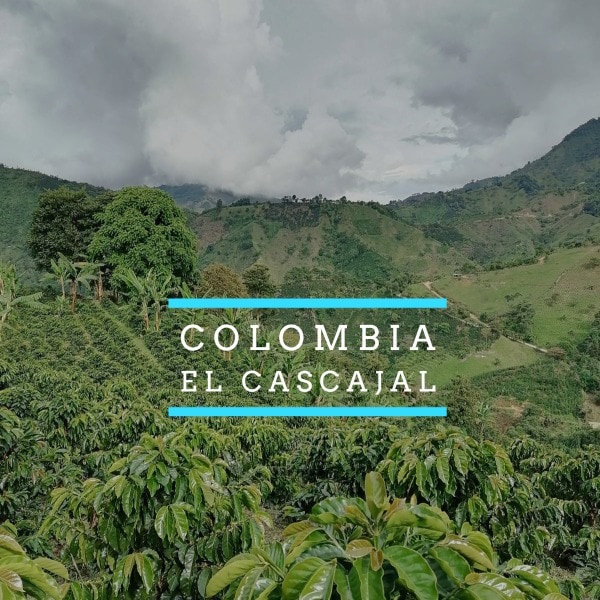 NEW SINGLE ORIGIN RELEASE COLOMBIA EL CASCAJAL El Cascajal WC Coffee