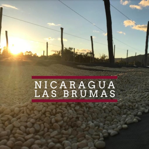 Nicaragua - Las Brumas Las Brumas WC 1