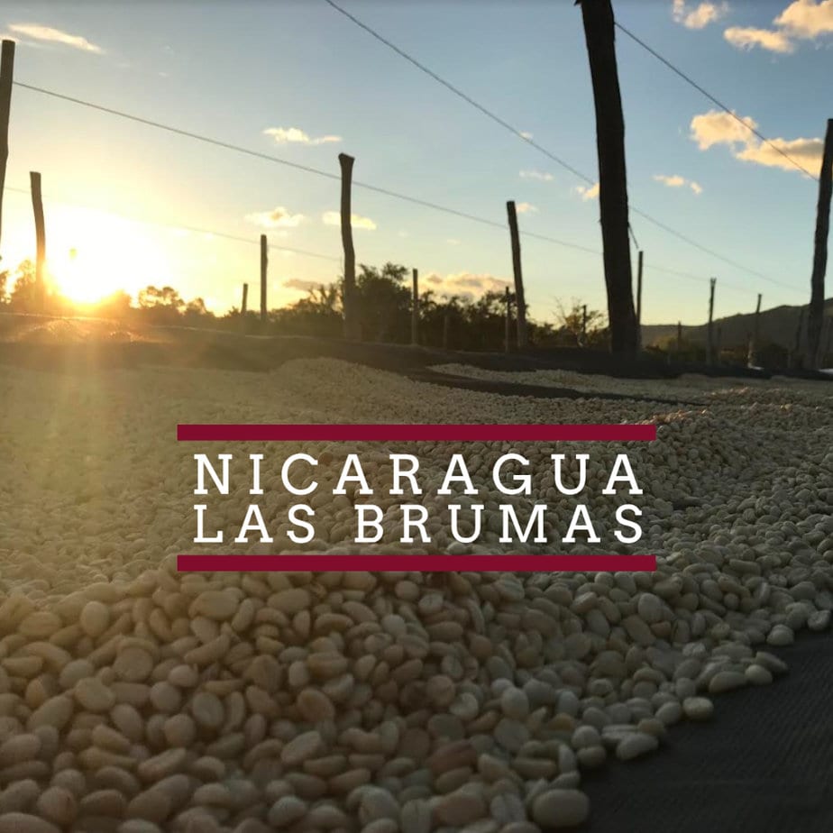 NEW SINGLE ORIGIN RELEASE: NICARAGUA – LAS BRUMAS Las Brumas WC 1 Coffee