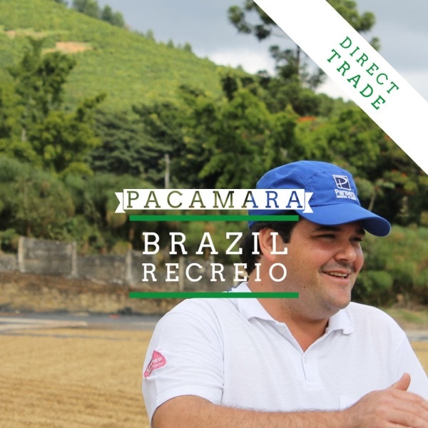 NEW SINGLE ORIGIN RELEASE BRAZIL RECREIO PACAMARA MICRO-LOT Recreio Pacamara WC Coffee