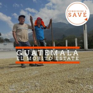 Two workers standing on a coffee drying patio at El Morito Estate in Guatemala, holding wooden rakes used to spread coffee beans under the sun. Mountains and a partly cloudy sky are in the background. Overlaid text reads 'GUATEMALA EL MORITO ESTATE' with an orange 'Subscribe & Save' label in the corner.