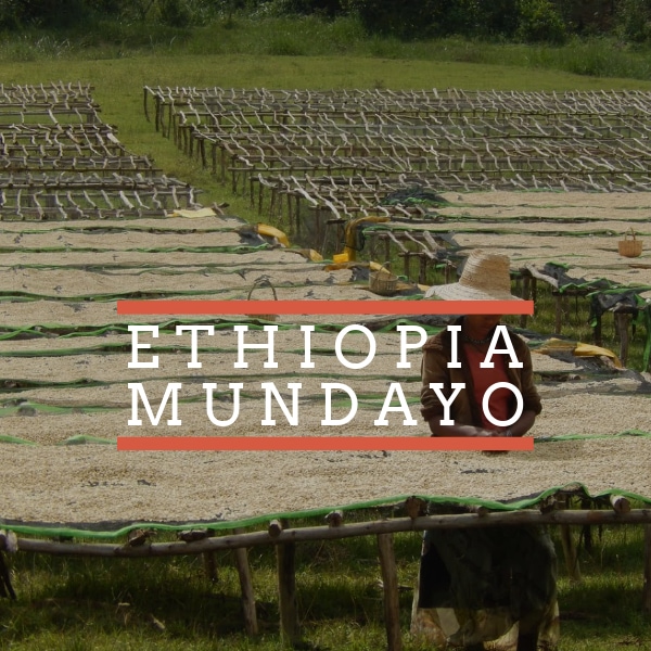 Ethiopia Mundayo Mundayo WC