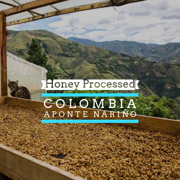 Colombia–Aponte Aponte Honey WC