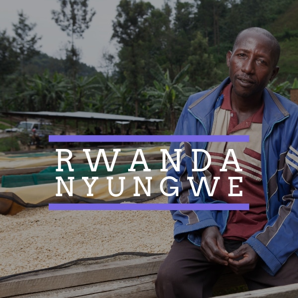 Rwanda Nyungwe Nyungwe WC