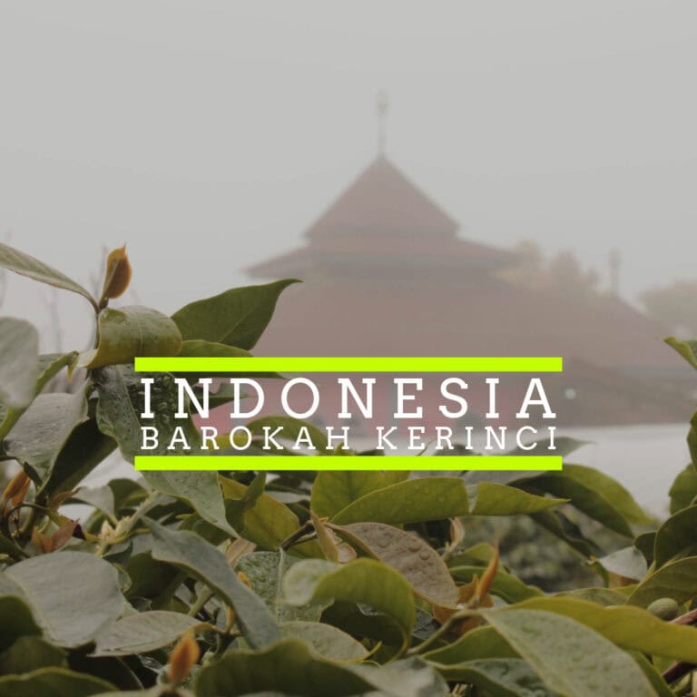 Blog 14 Badger & Dodo. Green leaves in the foreground with a traditional Indonesian roof in the mist, text reads “Indonesia Barokah Kerinci.”.