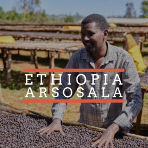 A smiling man in a plaid shirt stands next to raised drying beds filled with coffee cherries under the sun. In the background are more drying beds and green vegetation. Overlaid text reads "ETHIOPIA ARSOSALA" in bold white letters with red lines above and below.
