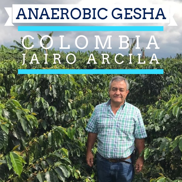 Blog 9 Badger & Dodo. A man stands in a Colombian coffee field, showcasing the renowned Gesha variety. Text over the image reads: Anaerobic Gesha Colombia Jairo Arcila.
