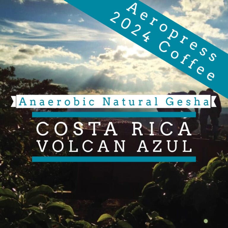Blog 11 Badger & Dodo. Silhouetted people on a farm at sunset; text promotes Costa Rica - Volcán Azul - Gesha Natural Anaerobic, a vibrant summer coffee blend perfect for warm evenings.