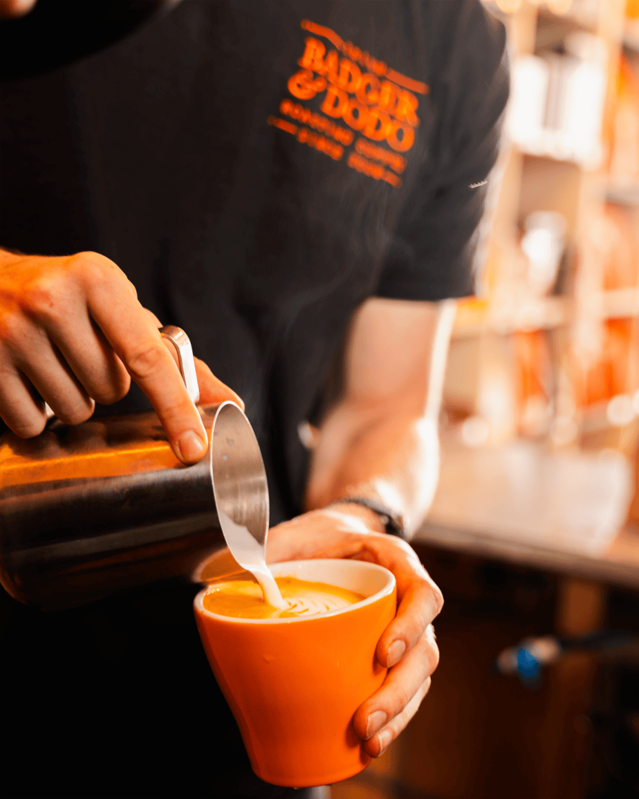 Badger and Dodo Coffee Roasters: A person, identified as a wholesale partner by their black shirt with orange text, pours frothed milk from a stainless steel jug into an orange cup of coffee, skillfully creating latte art.