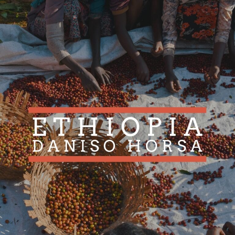 Several people sit together sorting red coffee cherries on a large white cloth, with woven baskets nearby. Overlaid text reads “Ethiopia Daniso Horsa."
