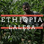 A man standing among lush green coffee plants, holding a branch with unripe coffee cherries. Overlaid text reads “Ethiopia” in white capital letters with orange lines above and below the text.