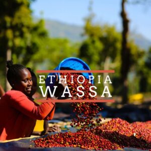 A woman in a red top sorts freshly harvested red coffee cherries at an outdoor drying station in Ethiopia. A blue container pours cherries onto a large drying bed covered with coffee beans, surrounded by green trees and distant mountains. Overlaid text reads “ETHIOPIA WASSA.”