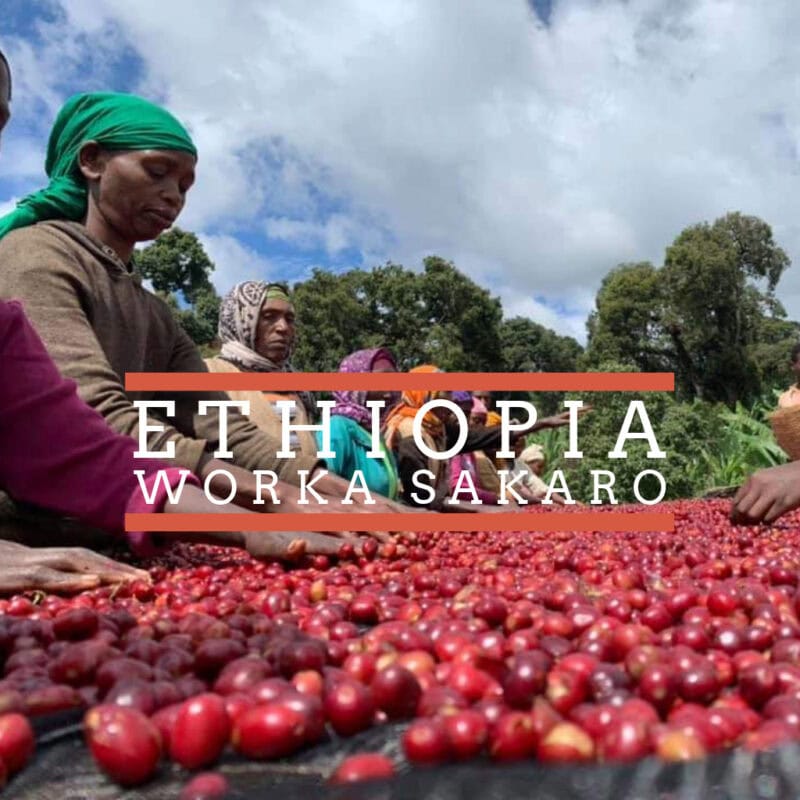 Ethiopia-Worka Sakaro Microlot Worka Sakaro WC