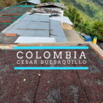 Badger & Dodo. Coffee beans from Colombia drying on raised beds with mountains in the background. Text reads: Colombia–Cesar Buesaquillo.