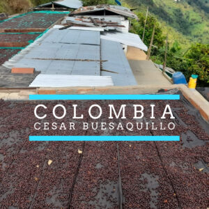 Badger & Dodo. Coffee beans from Colombia drying on raised beds with mountains in the background. Text reads: Colombia–Cesar Buesaquillo.