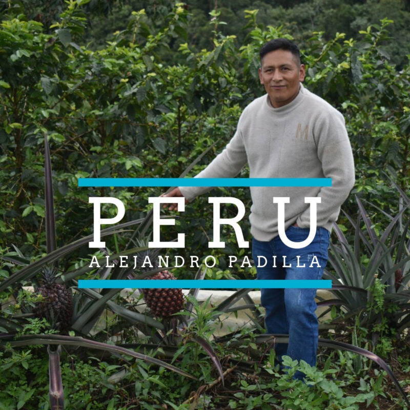 Peru's alexandro fadilla is a farmer, a farmer's son