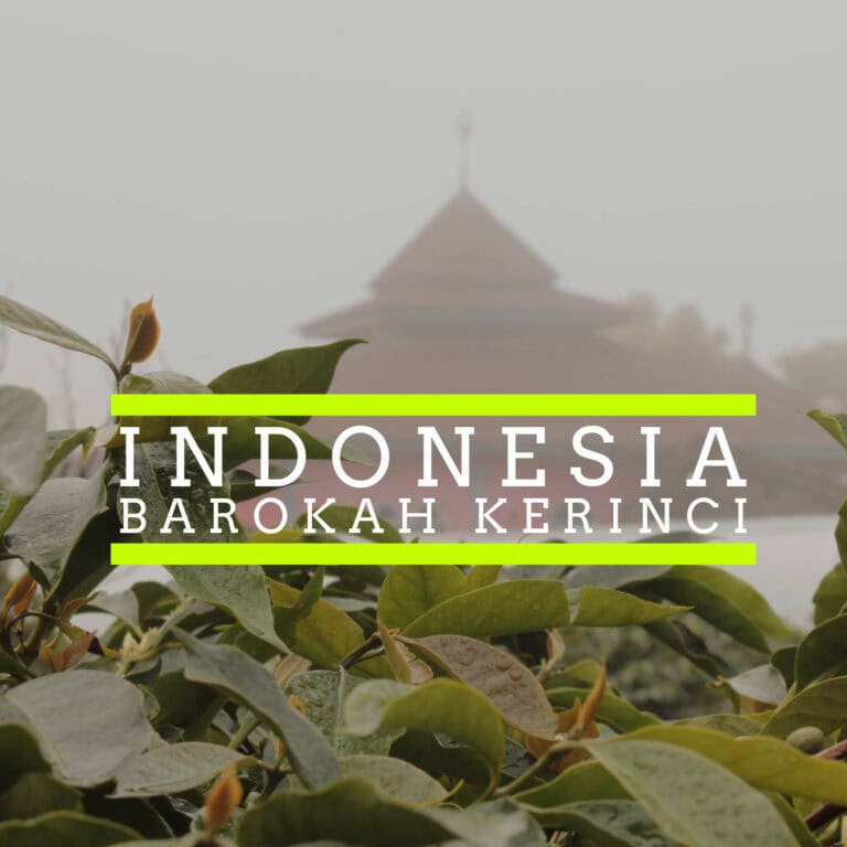 Blog 2 A misty background featuring a traditional Indonesian building with a tiered roof, partially obscured by fog. In the foreground, lush green leaves are covered with dew. Overlaid text reads "INDONESIA" and "BAROKAH KERINCI" in bold white letters, highlighted by bright neon green horizontal lines.