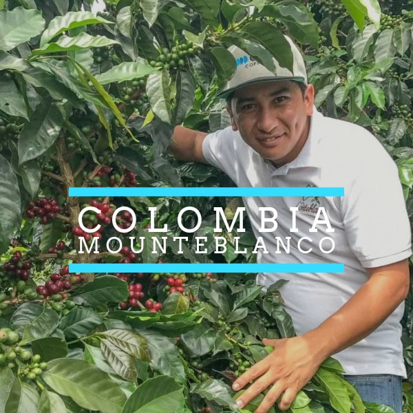 A man wearing a white polo shirt and a cap is smiling while standing among lush green coffee plants with red and green coffee cherries. Text overlay on the image reads "COLOMBIA MOUNTEBLANCO" with blue lines above and below the text.