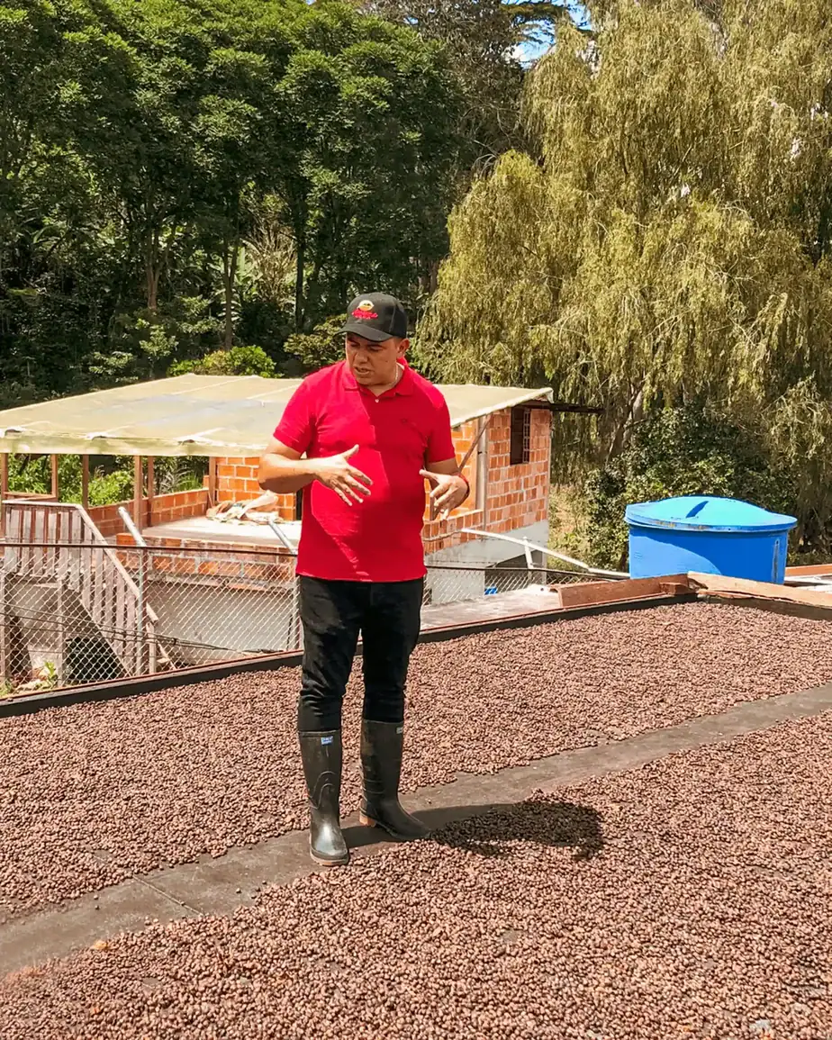 New Super Premium Release: El Mirador Pink Champagne Infused Colombia 2 New Super Premium Release: El Mirador Pink Champagne Infused Colombia farmers clearpath elkin guzman elkin guzman 03 scaled coffee