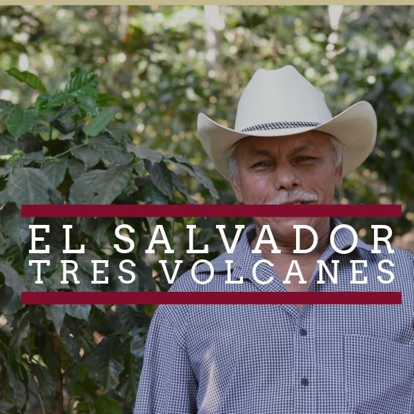 A man wearing a white cowboy hat and a checkered shirt stands in front of coffee plants. Overlaid text reads "El Salvador Tres Volcanes" in white capital letters with two horizontal maroon lines above and below the text. The background is a lush, green coffee farm.