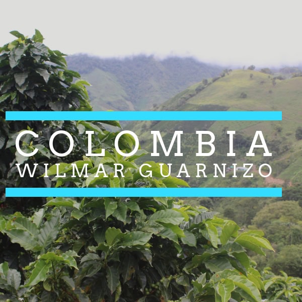 Coffee plants growing on lush green hills in Colombia with misty mountains in the background. Overlaid text reads “COLOMBIA Wilmar Guarnizo” framed by two horizontal blue lines.