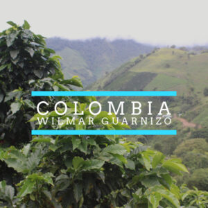 Coffee plants growing on lush green hills in Colombia with misty mountains in the background. Overlaid text reads “COLOMBIA Wilmar Guarnizo” framed by two horizontal blue lines.