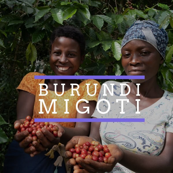 Two women standing in front of coffee plants, smiling and holding freshly picked red coffee cherries in their hands. Overlaid text reads "Burundi Migoti" with purple lines above and below the text.