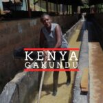 A woman in black rubber boots stands in a coffee washing channel, stirring parchment coffee in water with a wooden pole. She is smiling slightly, wearing a sleeveless patterned blouse. The background shows concrete channels and a covered structure. Text overlaid on the image reads "KENYA GAKUNDU" with a red line above and below the word "KENYA."