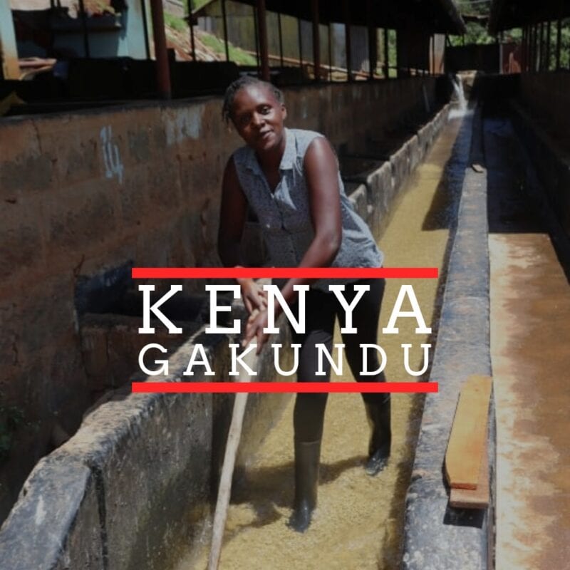 A woman in black rubber boots stands in a coffee washing channel, stirring parchment coffee in water with a wooden pole. She is smiling slightly, wearing a sleeveless patterned blouse. The background shows concrete channels and a covered structure. Text overlaid on the image reads "KENYA GAKUNDU" with a red line above and below the word "KENYA."