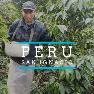 A coffee farmer in San Ignacio, Peru stands among lush green coffee plants. He is wearing a denim jacket, cap, and a harvesting apron while carrying a bucket for collecting coffee cherries. Text over the image reads “PERU – SAN IGNACIO” with blue horizontal lines above and below the word Peru.